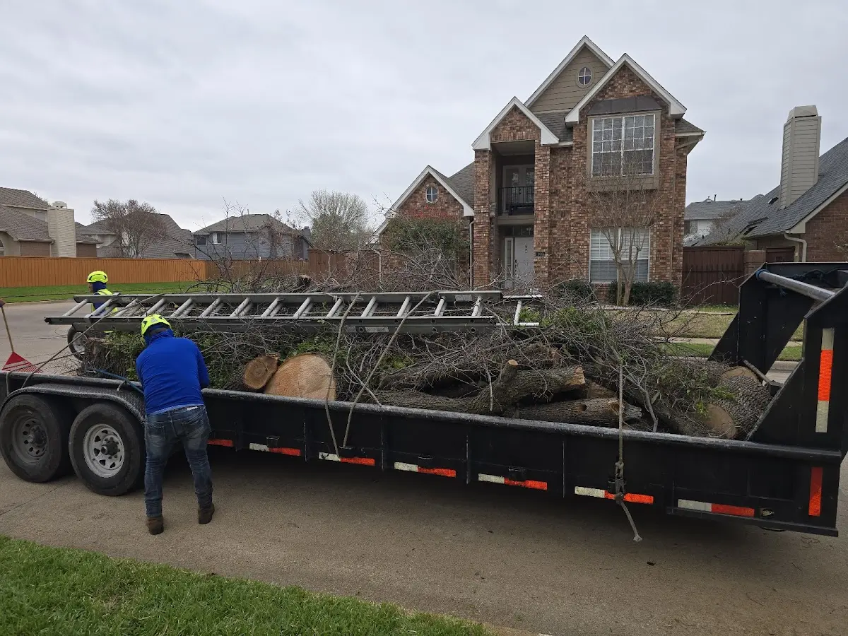 Expert Tree Removal with proper safety equipment in Olmsted
